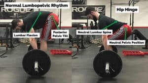 spinal flexion vs. hip hinge