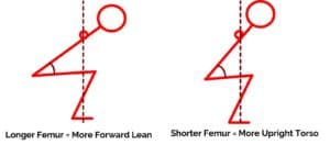 long vs. short femur in the squat