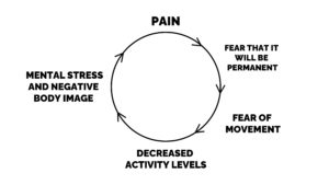 pain cycle kinesiophobia