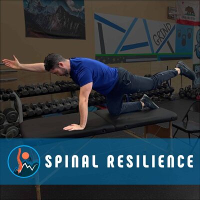 spinal resilience online course