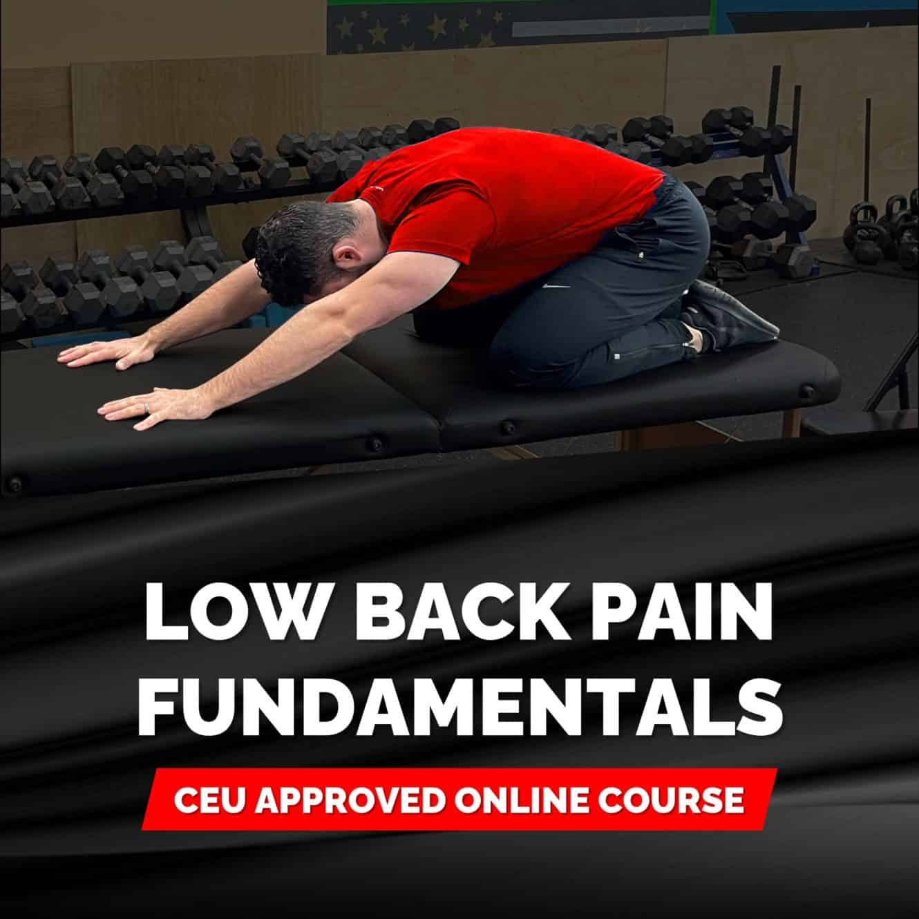 Spinal Resilience Online Course - Barbell Rehab