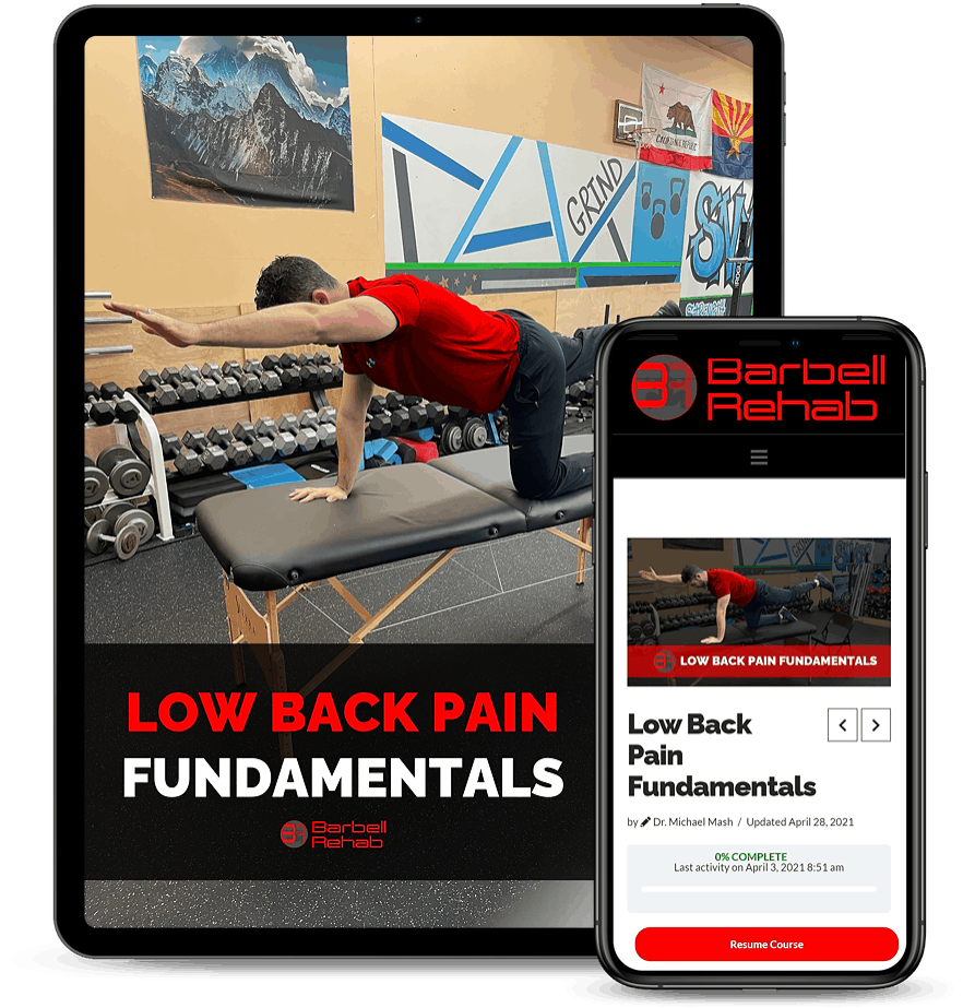 low back pain fundamentals